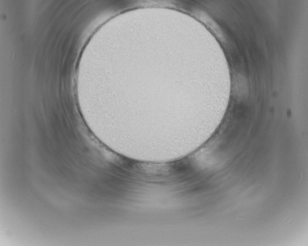 X0000060750856200511241701