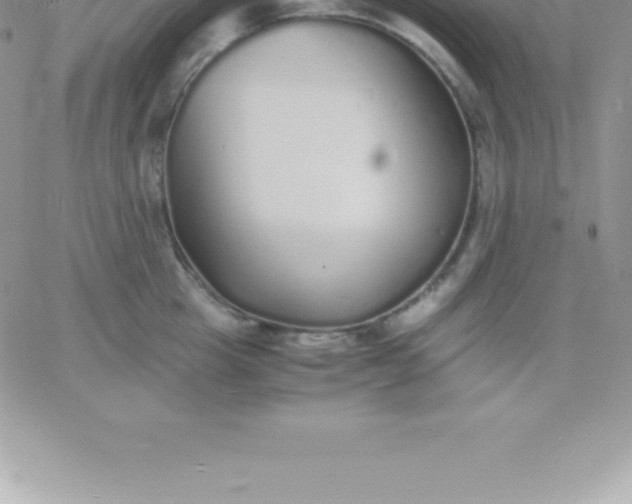 X0000060750857200511241701