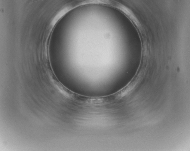 X0000060750858200511241701