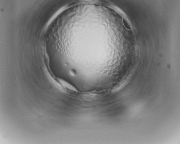 X0000060750859200511241701