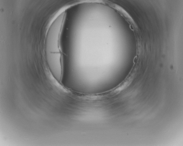 X0000060750860200511241701