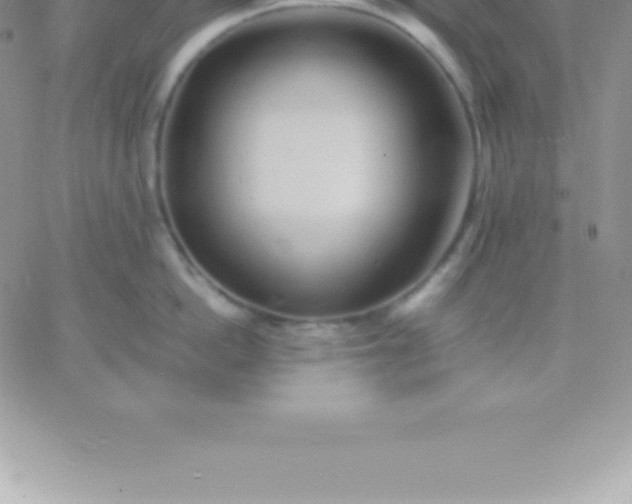 X0000060750862200511241701