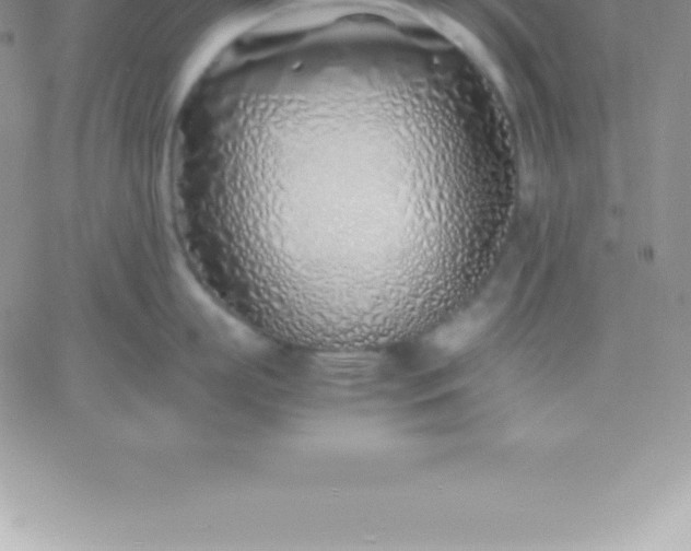 X0000060750863200511241701