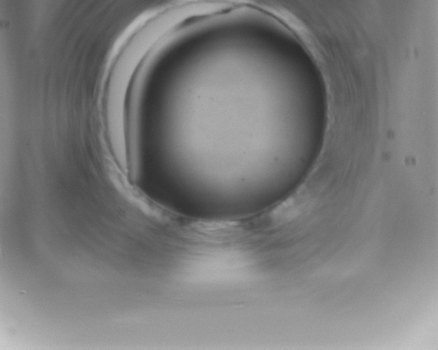 X0000060750864200511241701