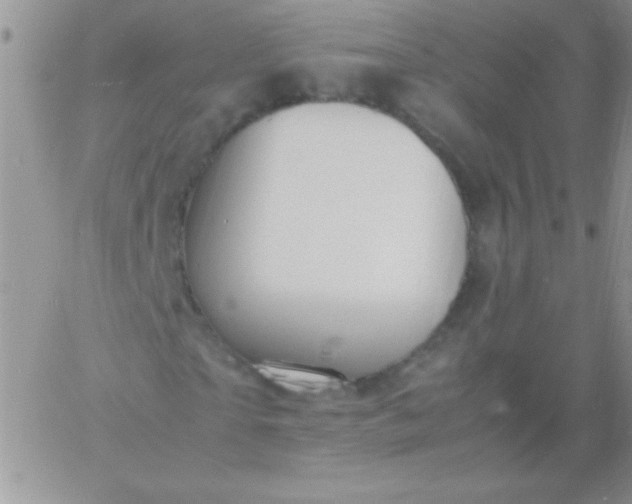 X0000060750865200511241701