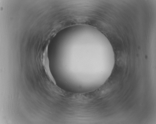 X0000060750866200511241701