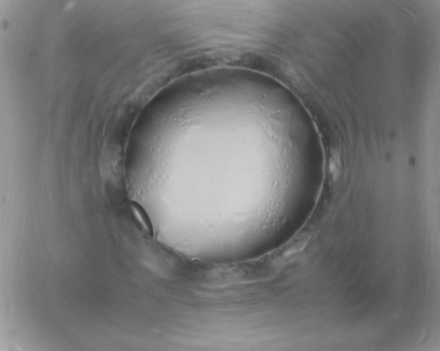 X0000060750867200511241701