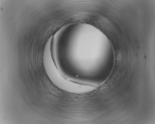 X0000060750868200511241700