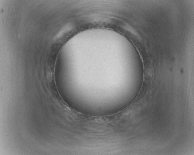 X0000060750869200511241700