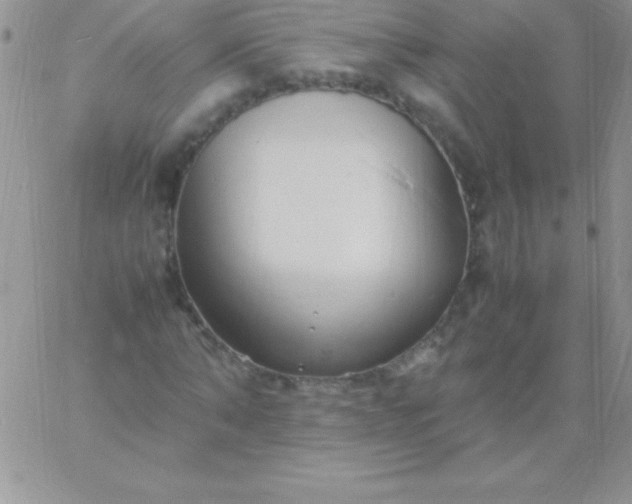 X0000060750870200511241700