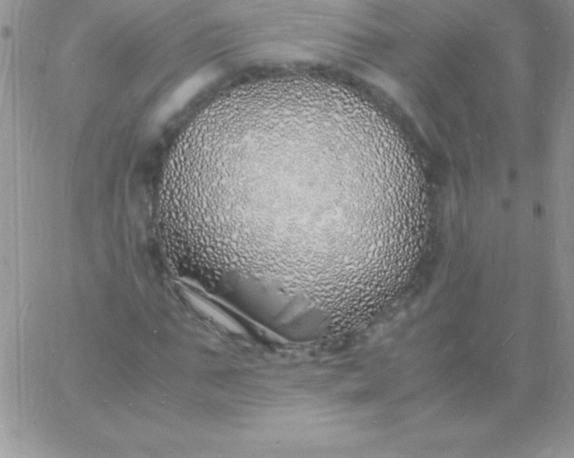 X0000060750871200511241700