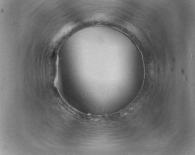 X0000060750872200511241700