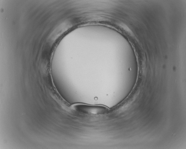 X0000060750873200511241700