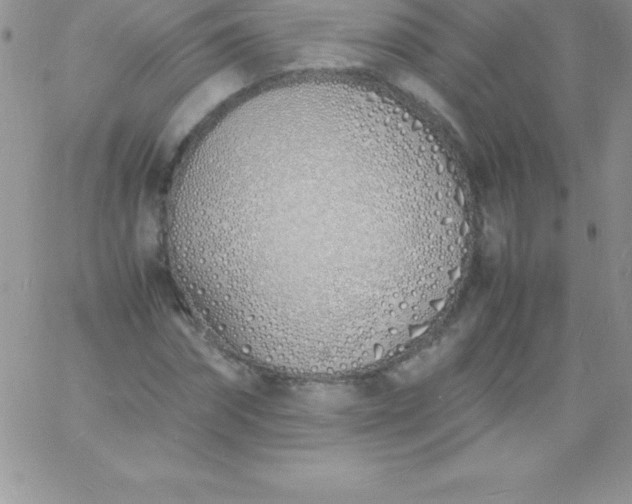 X0000060750874200511241700