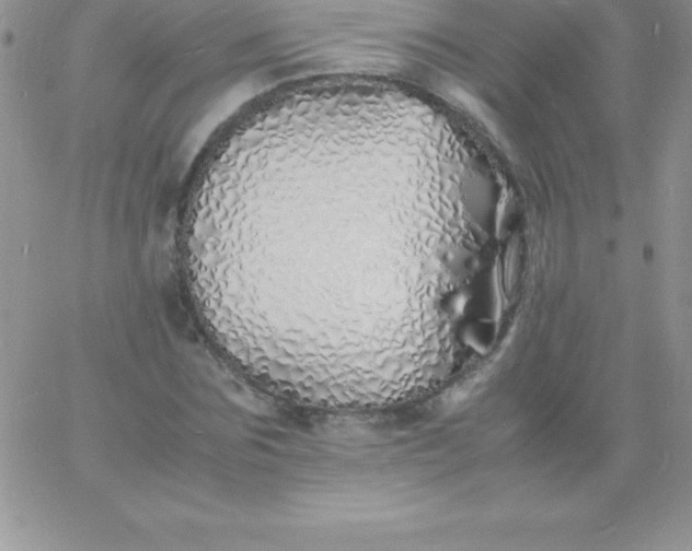 X0000060750875200511241700