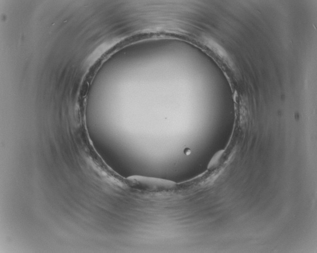 X0000060750876200511241700