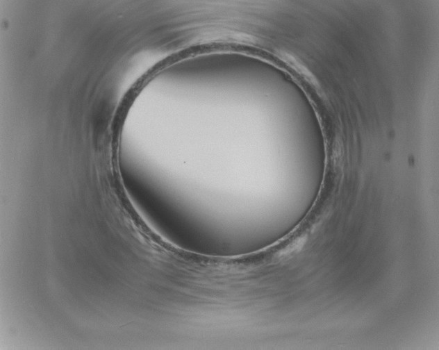 X0000060750877200511241700