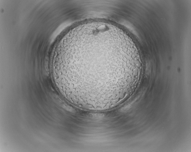 X0000060750878200511241700