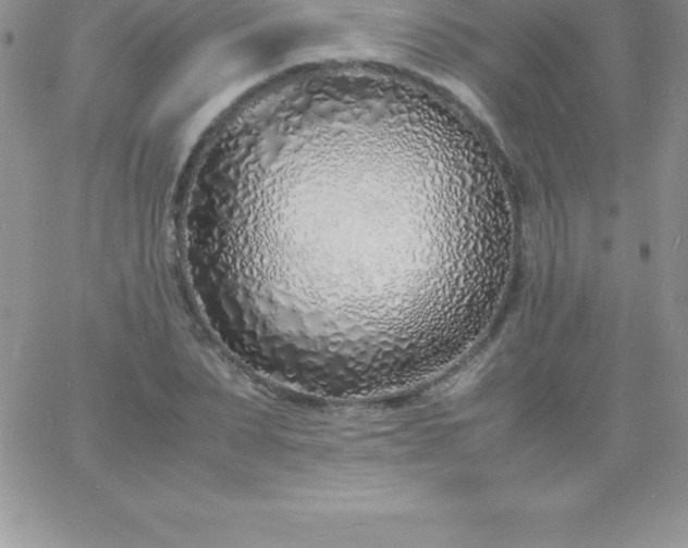 X0000060750879200511241700