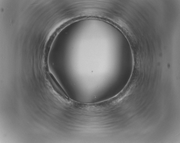 X0000060750880200511241700