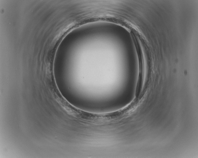 X0000060750881200511241700