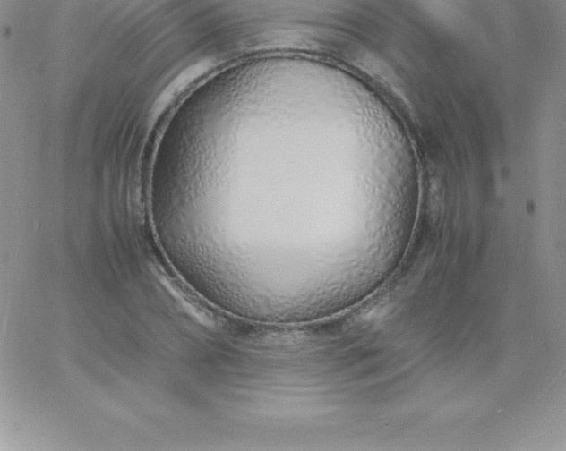 X0000060750882200511241700