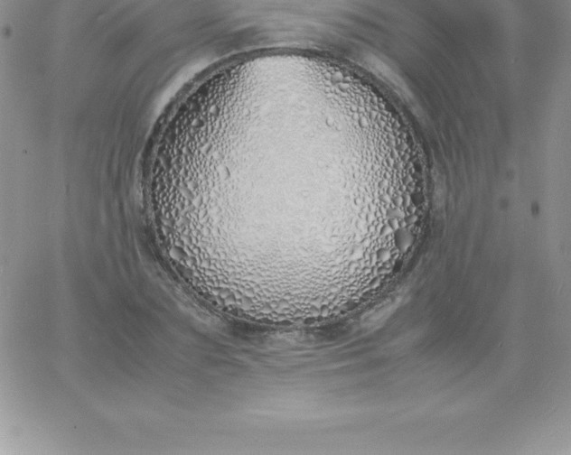 X0000060750883200511241700