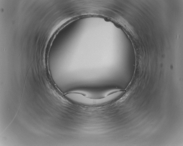 X0000060750884200511241700