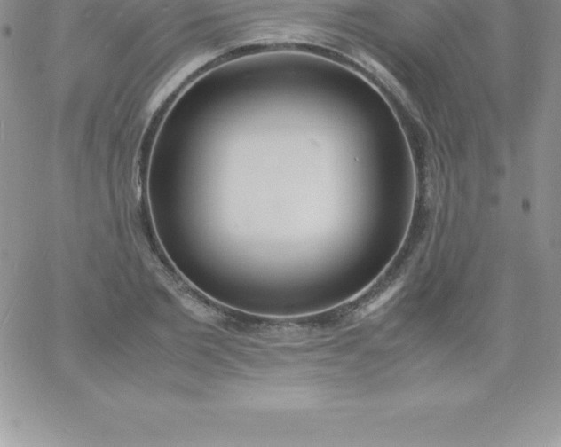 X0000060750885200511241700