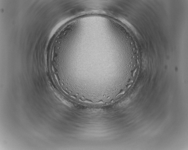 X0000060750886200511241700