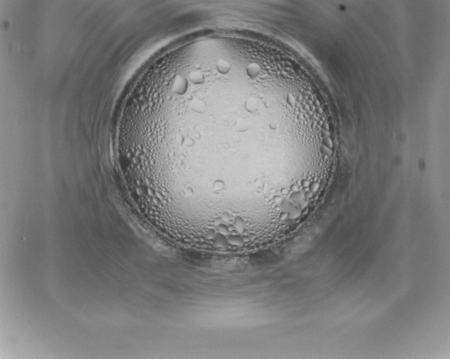 X0000060750887200511241700