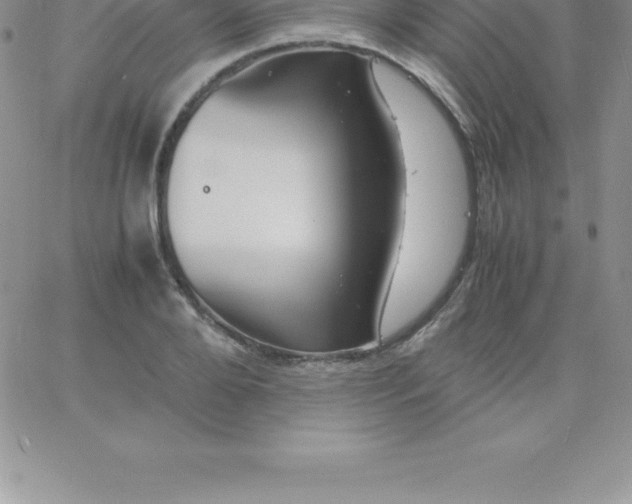 X0000060750888200511241700