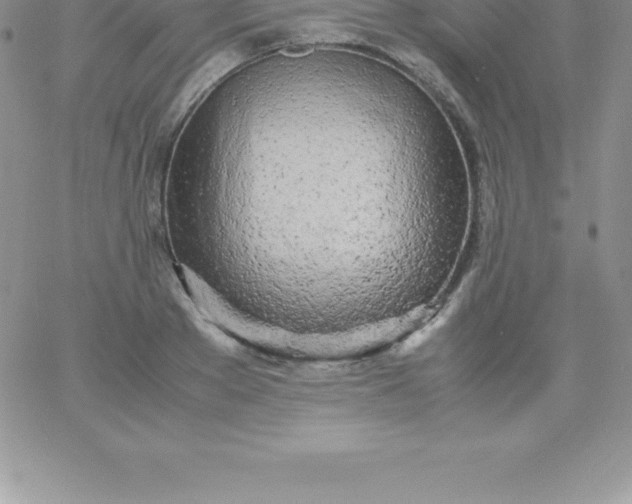 X0000060750889200511241700