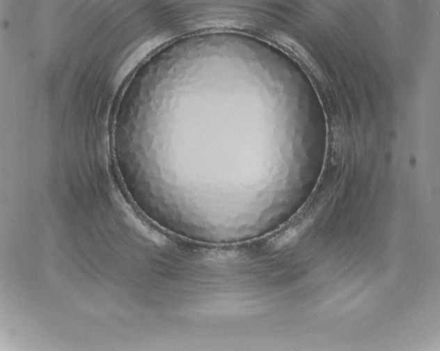 X0000060750890200511241700