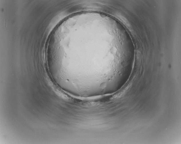 X0000060750891200511241700