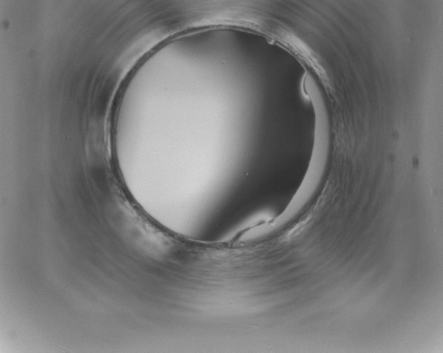 X0000060750892200511241700