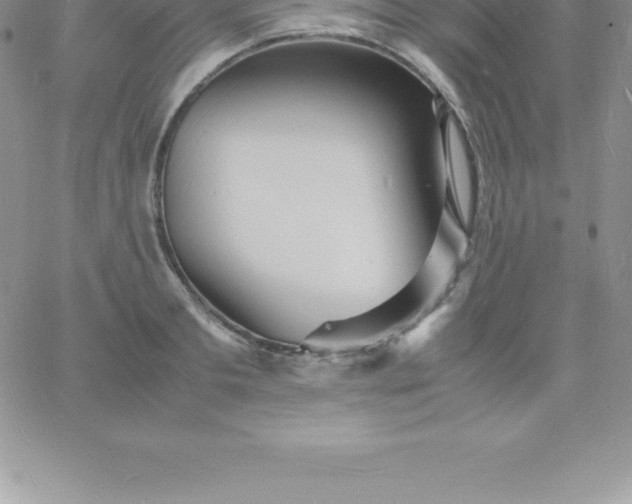 X0000060750893200511241700