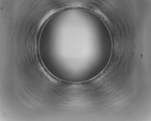 X0000060750894200511241700