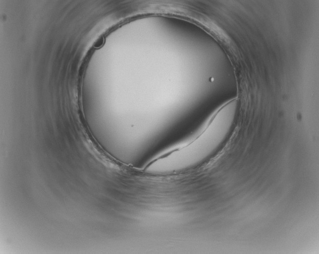 X0000060750896200511241700