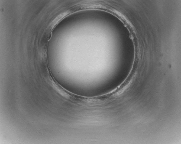 X0000060750897200511241700