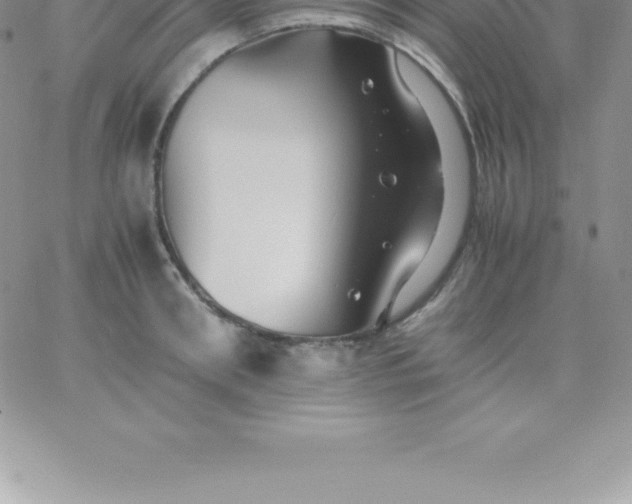 X0000060750898200511241700