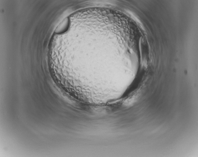 X0000060750899200511241700