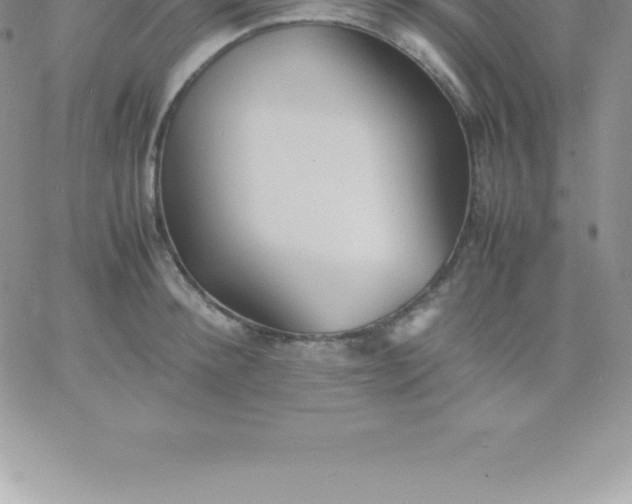 X0000060750900200511241700