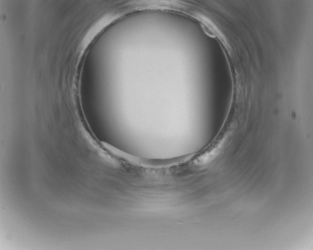 X0000060750901200511241700