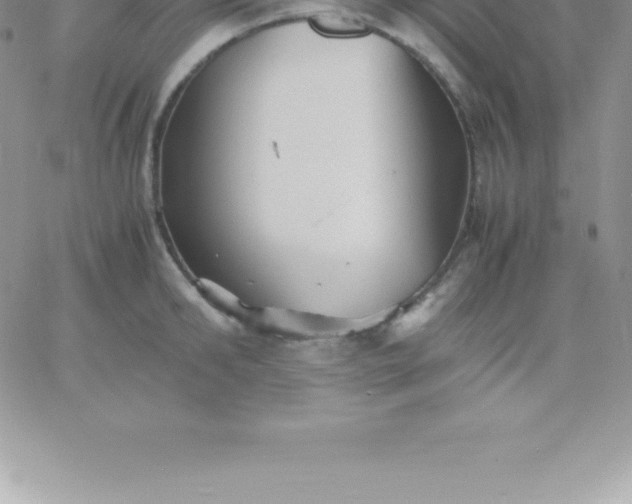 X0000060750902200511241700