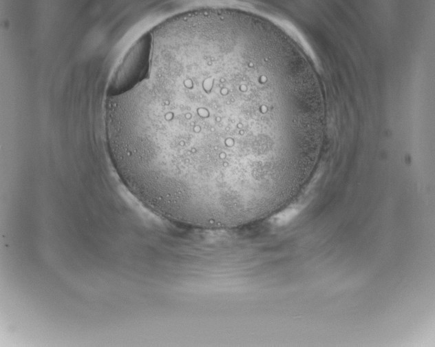 X0000060750903200511241700