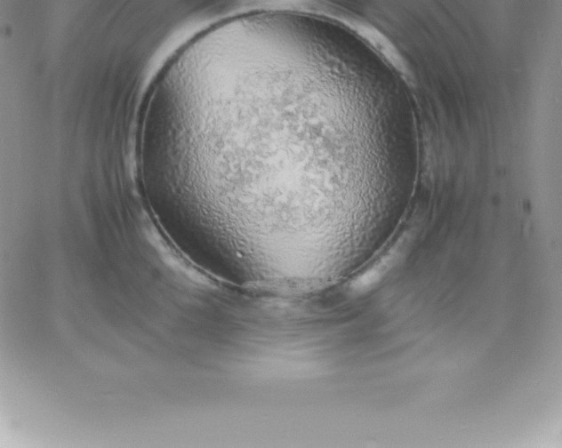 X0000060750904200511241700