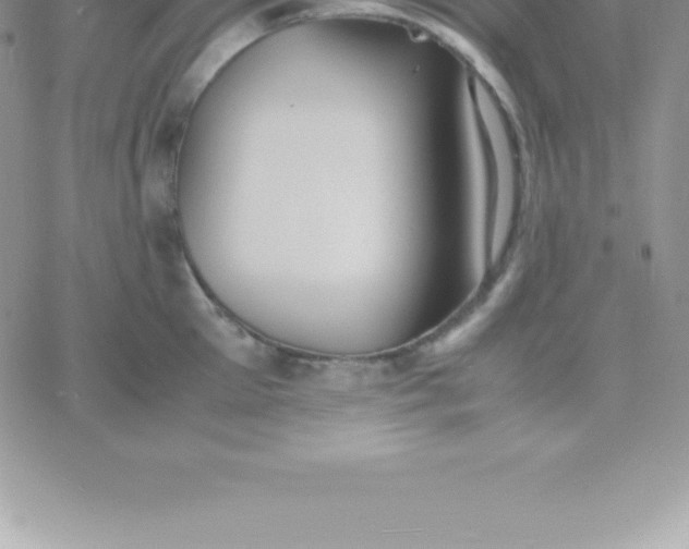 X0000060750905200511241700