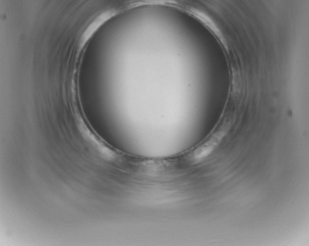 X0000060750906200511241700