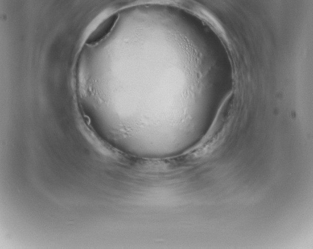 X0000060750907200511241700